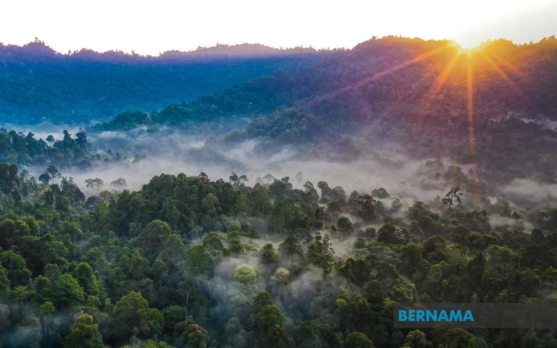 Kelantan to Replace All Degazetted Forest Reserves, Government Pledges
