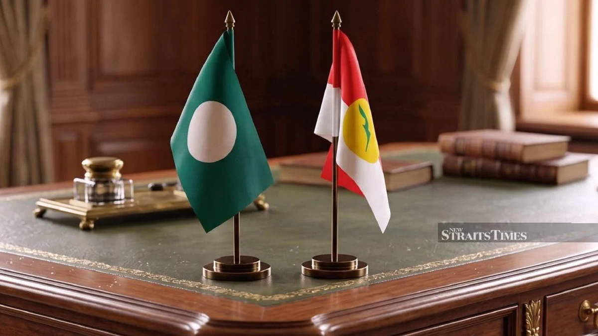 Umno and Pas Unlikely to Form Formal Coalition for Negri Sembilan Election, Analysts Say
