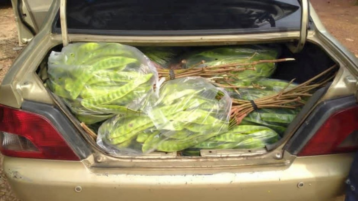 Thai smuggler arrested with RM8,000 in contraband fruit at Kelantan jetty