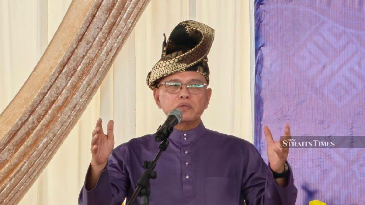 Negri Sembilan election reveals voter priority for stable governance over racial divisions, says Umno deputy