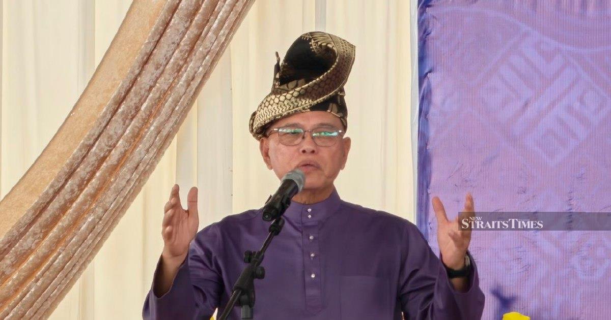 Negri Sembilan election reveals voter priority for stable governance over racial divisions, says Umno deputy
