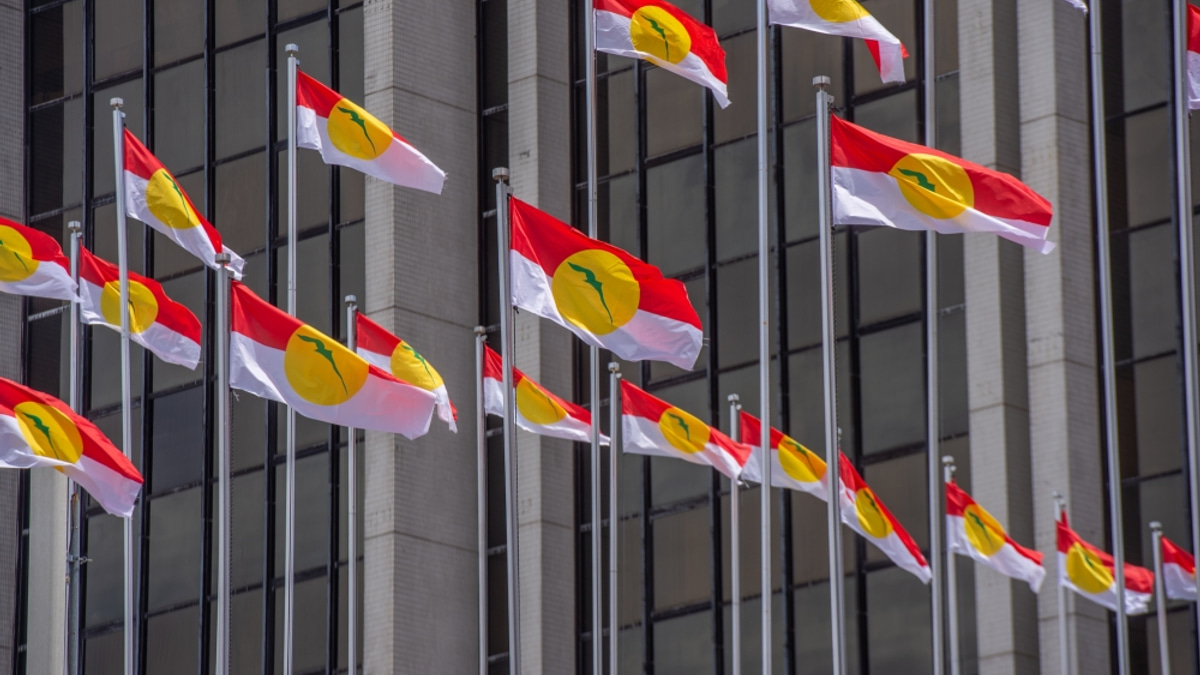 Perlis Umno to Stand Alone in Next State Election, Eyeing All 18 Seats