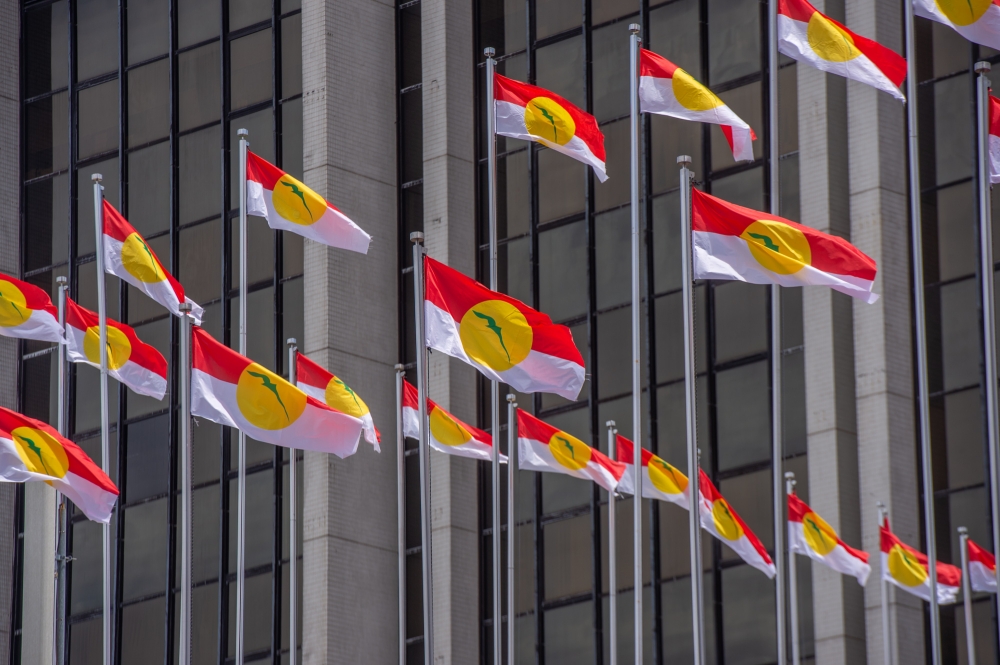 Perlis Umno to Stand Alone in Next State Election, Eyeing All 18 Seats