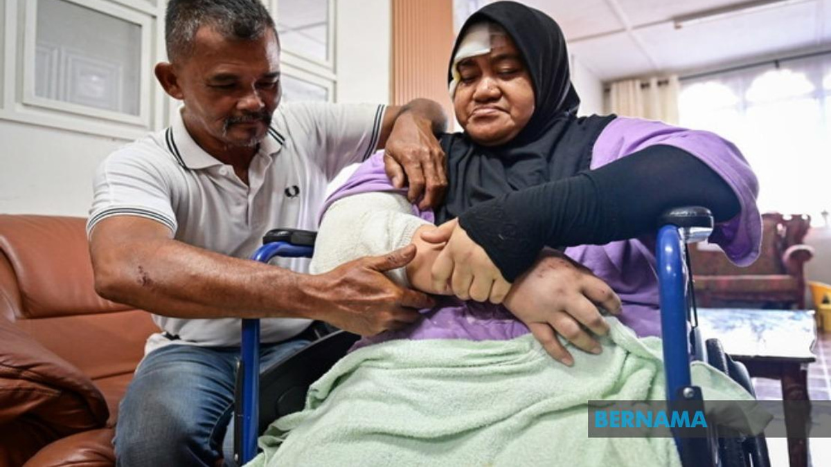 LPT2 Safety Under Scrutiny After Wild Elephant Collision Injures Couple