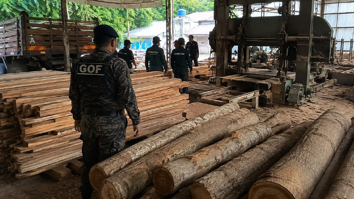 Sawmill raid nets RM640,510 haul as enforcement steps up timber trade oversight