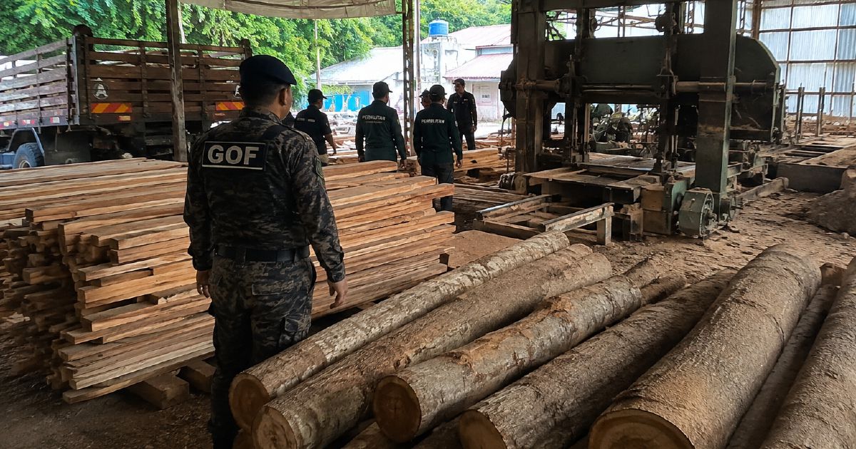 Sawmill raid nets RM640,510 haul as enforcement steps up timber trade oversight