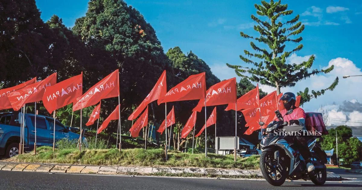 Pakatan Harapan rejects pressure to rush Johor election leadership pick