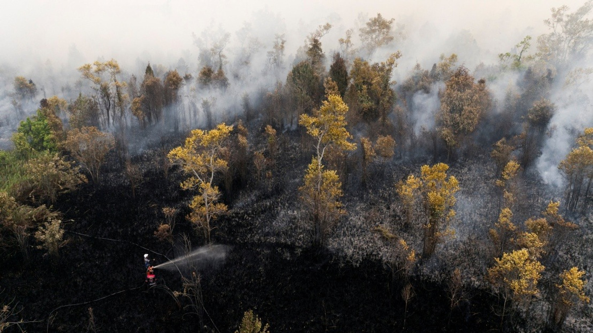 Indonesia Shuts Singkawang Airport as Kalimantan Haze Crisis Deepens