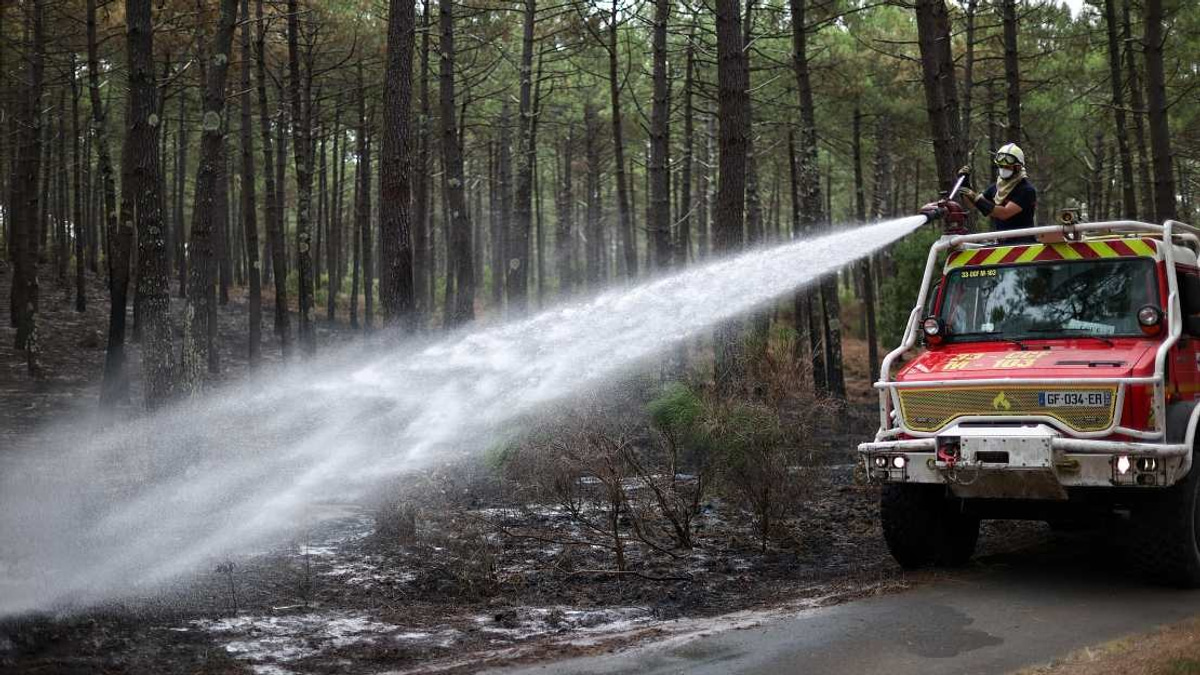 France Records Over 300 Arrests Related to Wildfire Crisis