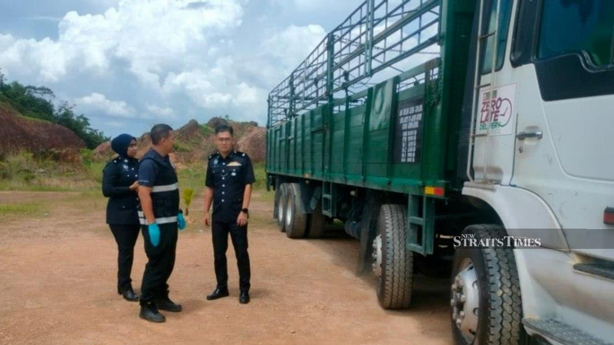 Two-year-old dies in reversing lorry accident; grandfather detained for investigation