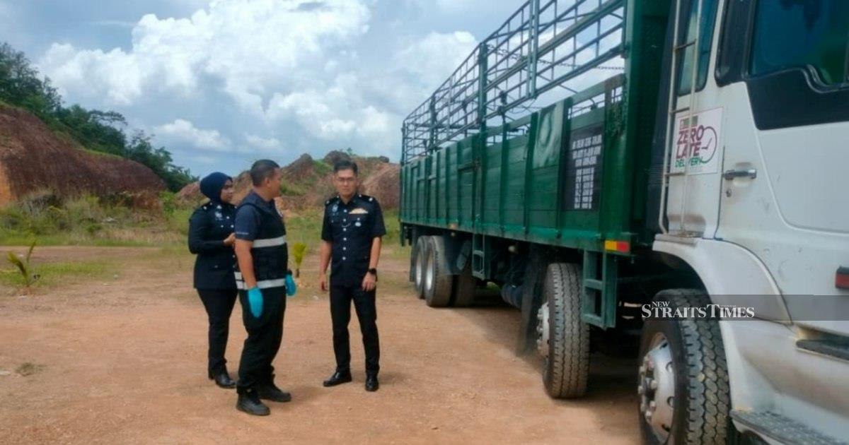 Two-year-old dies in reversing lorry accident; grandfather detained for investigation
