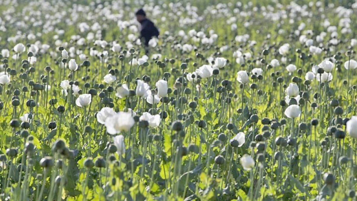 Myanmar police seize massive heroin and stimulant tablet haul in central regions