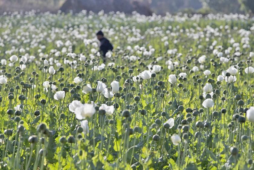 Myanmar police seize massive heroin and stimulant tablet haul in central regions