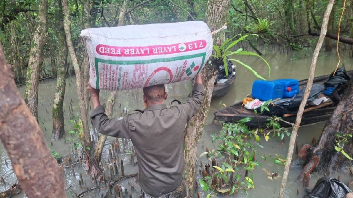 Bangladesh authorities dismantle illegal poison-tainted shrimp processing camps in Sundarbans forest