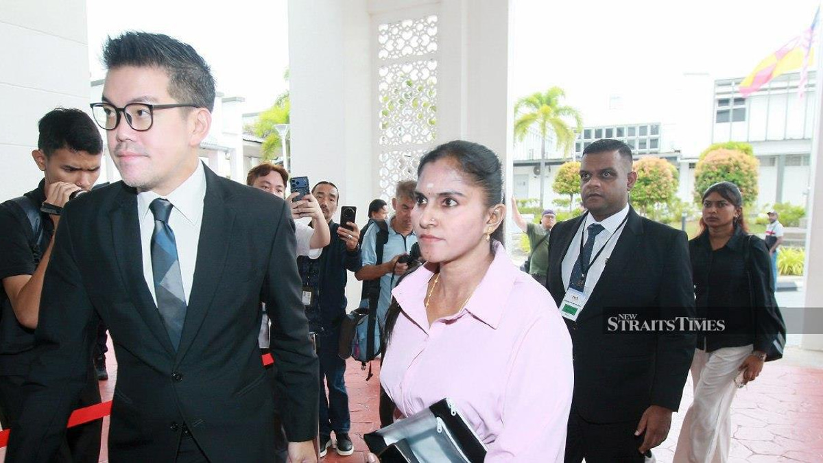 Pet Owner Charged for Unlicensed Dog in Klang