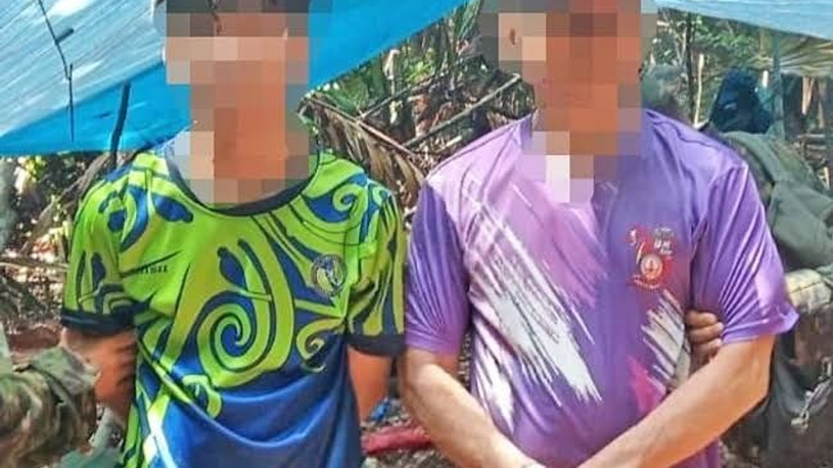 Brunei arrests two foreigners in agarwood theft operation