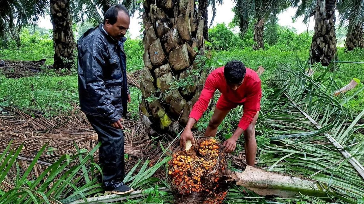 India Moves to Ban Forced Labour Goods as US Trade Pressure Mounts
