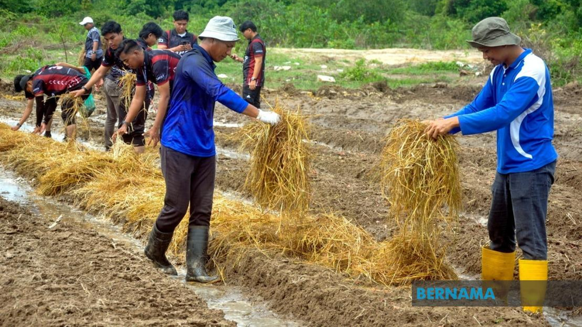 Agricultural TVET Employment Surges to 76%, Yet Lags Behind National Average