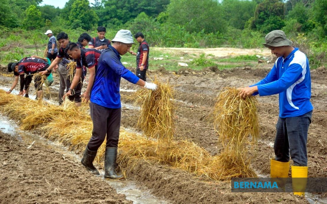 Agricultural TVET Employment Surges to 76%, Yet Lags Behind National Average