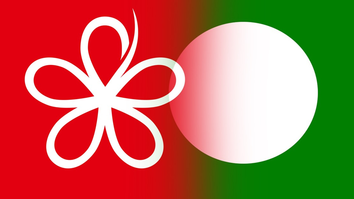 RoS Must Intervene in PN Crisis, Bersatu Warns of PAS Power Grab
