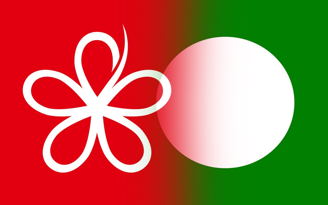 RoS Must Intervene in PN Crisis, Bersatu Warns of PAS Power Grab