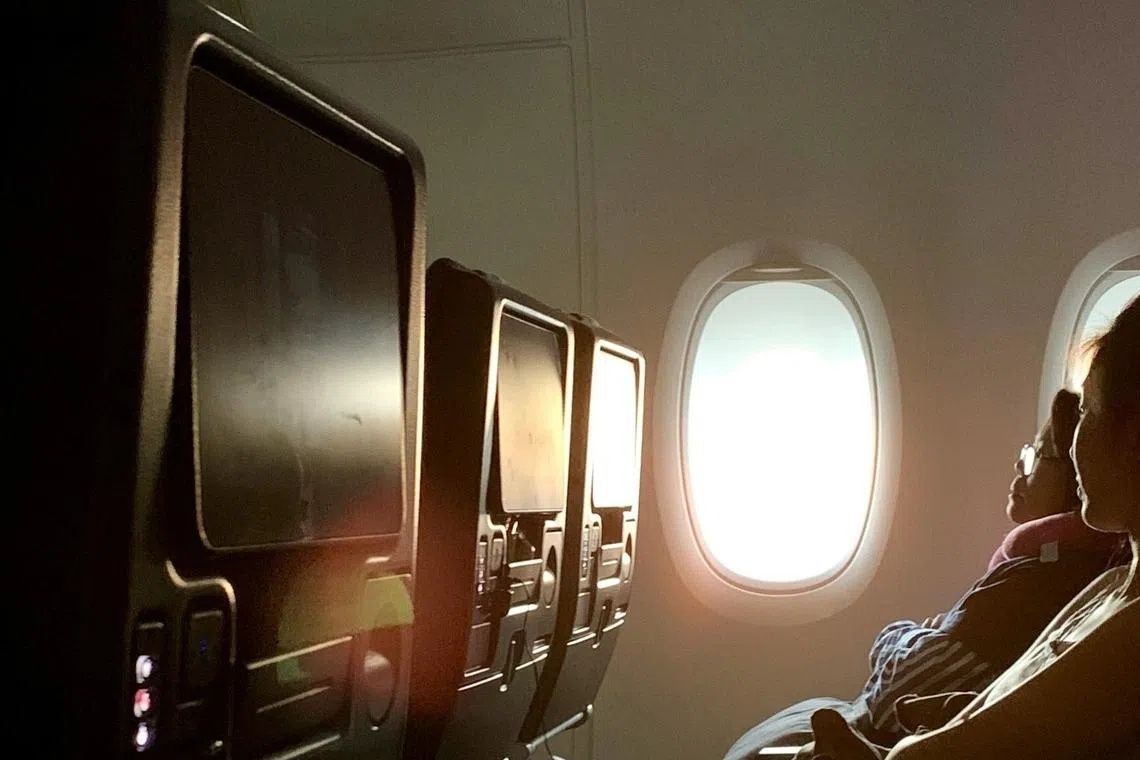 South Korean teenager petitions for stronger protections against explicit in-flight content
