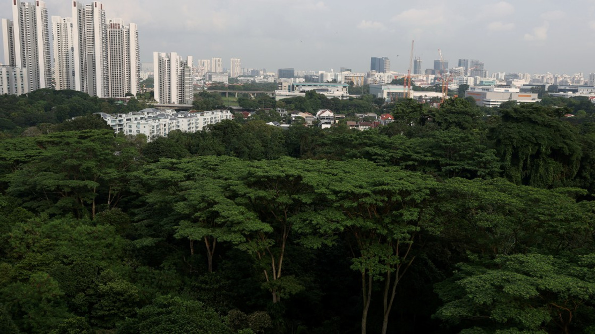 Singapore arrests three self-radicalised teenagers over planned violent attacks