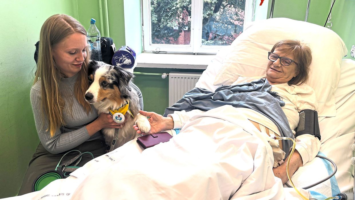 Poland moves to enshrine pet visitation rights in hospice care as emotional bonds prove therapeutic