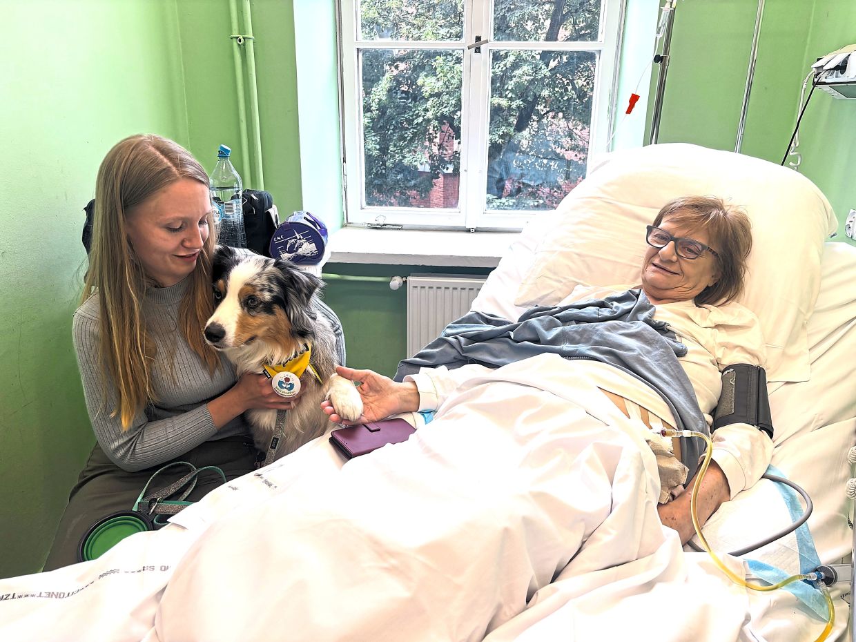 Poland moves to enshrine pet visitation rights in hospice care as emotional bonds prove therapeutic