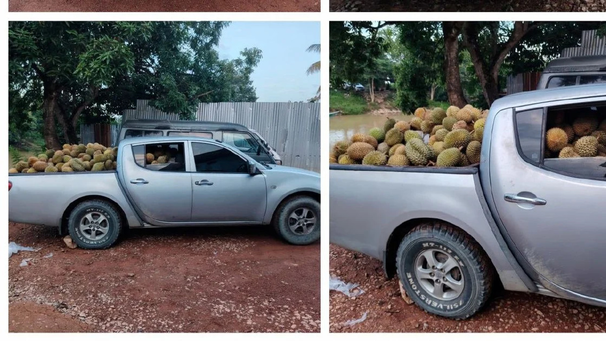 Part-time driver arrested with 700kg of smuggled durians at Rantau Panjang