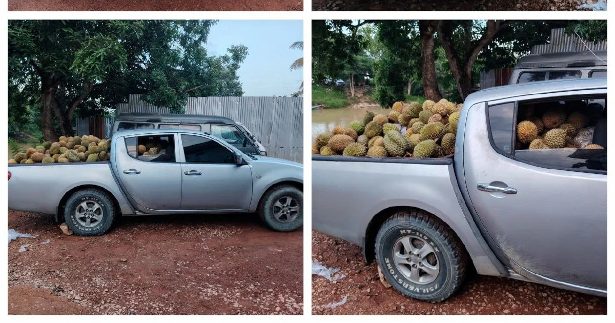 Part-time driver arrested with 700kg of smuggled durians at Rantau Panjang