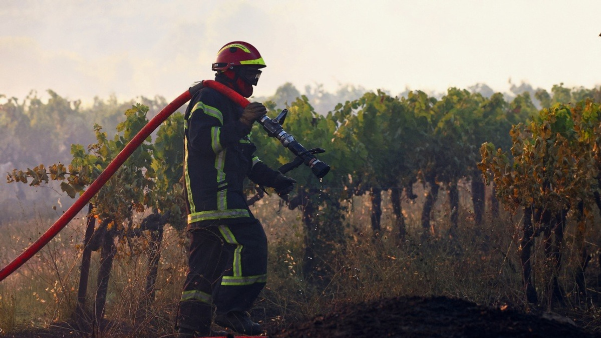 Massive Wildfire in French Var Department Forces Mass Evacuation, Cuts Power to Thousands
