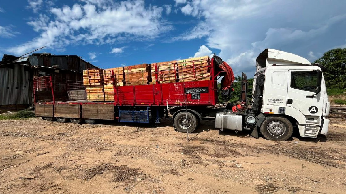 Five arrested as authorities shut down RM2.32 million illegal timber operation in Kelantan