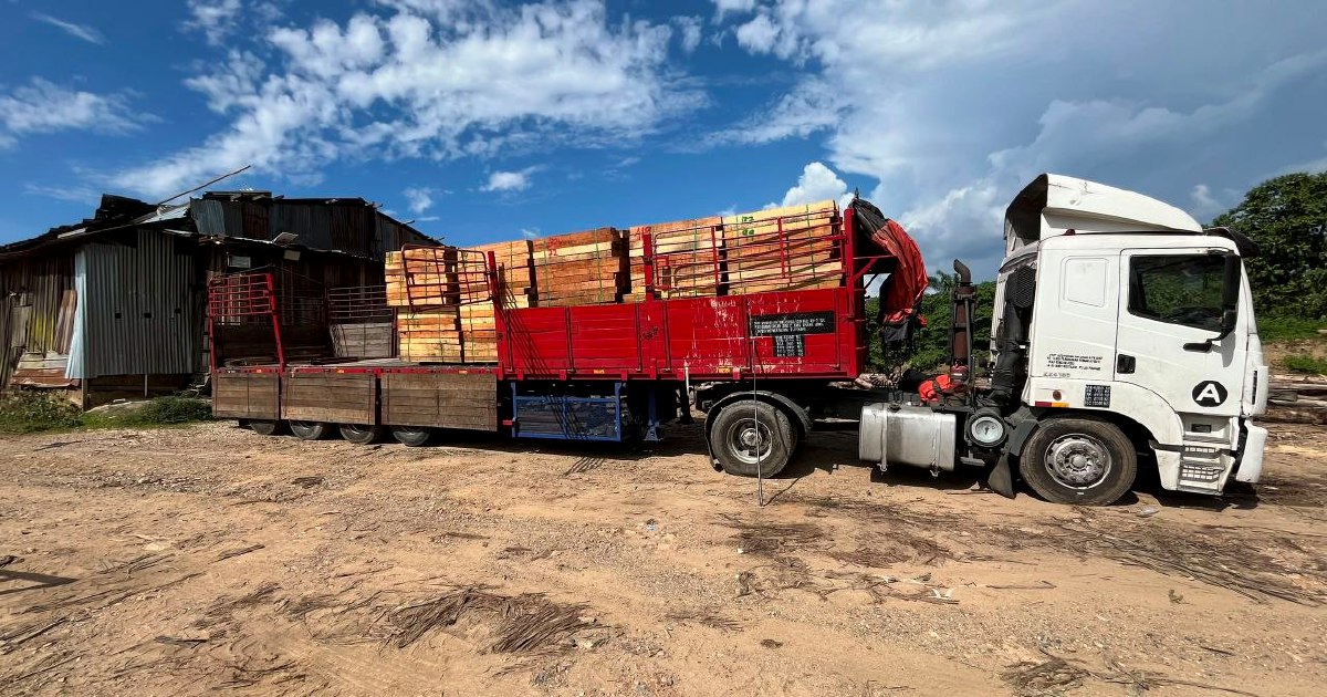 Five arrested as authorities shut down RM2.32 million illegal timber operation in Kelantan