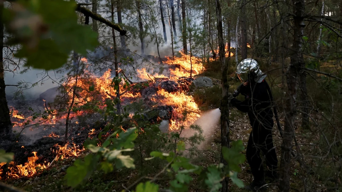 France battles massive wildfire south of Paris as arson arrests made