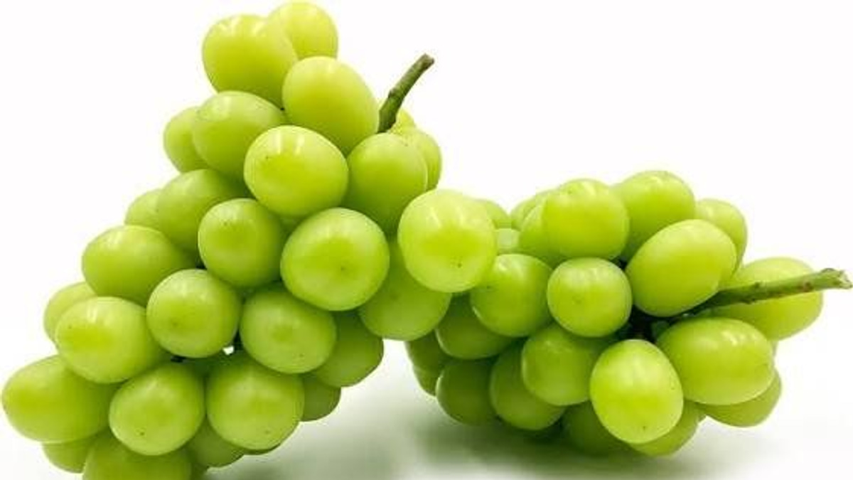 Japanese Man Arrested Over RM36,000 Grape Theft from Okayama Greenhouse