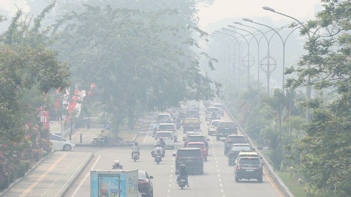 Indonesia's Air Quality Plummets to Hazardous Levels as Forest Fires Engulf Kalimantan and Sumatra