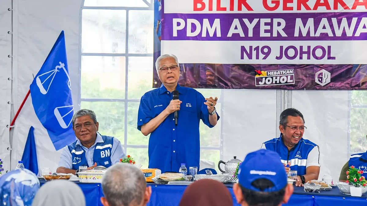 Strong Negeri Sembilan showing could cement BN-PN alliance for next general election, Ismail Sabri says
