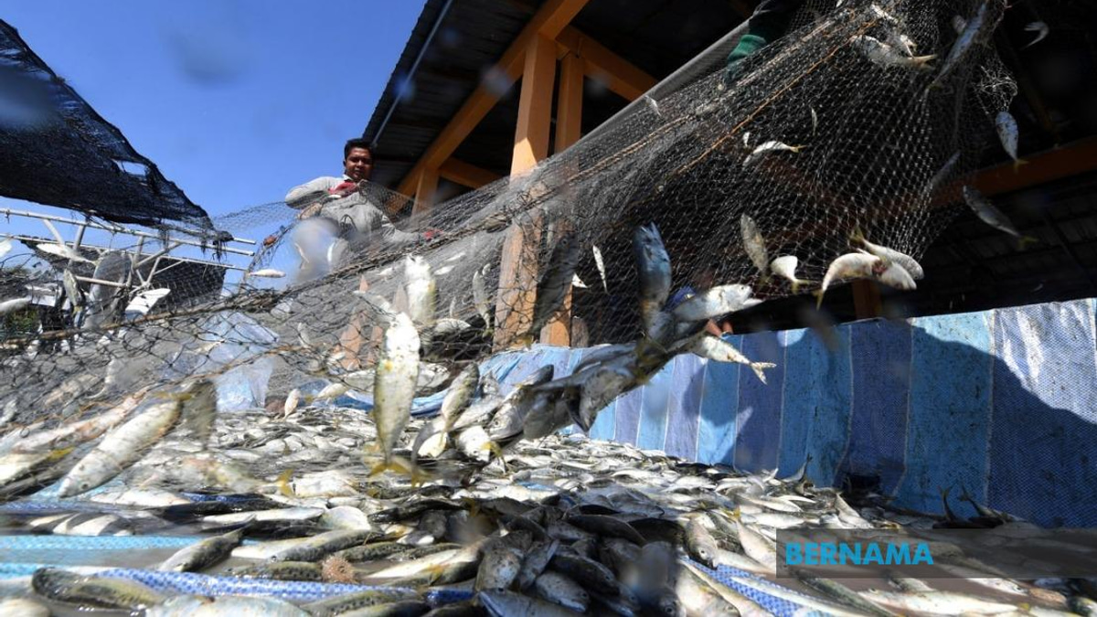 Government Invests RM10 Million in Fishermen Housing Initiative Across Malaysia