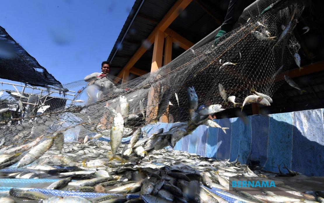 Government Invests RM10 Million in Fishermen Housing Initiative Across Malaysia