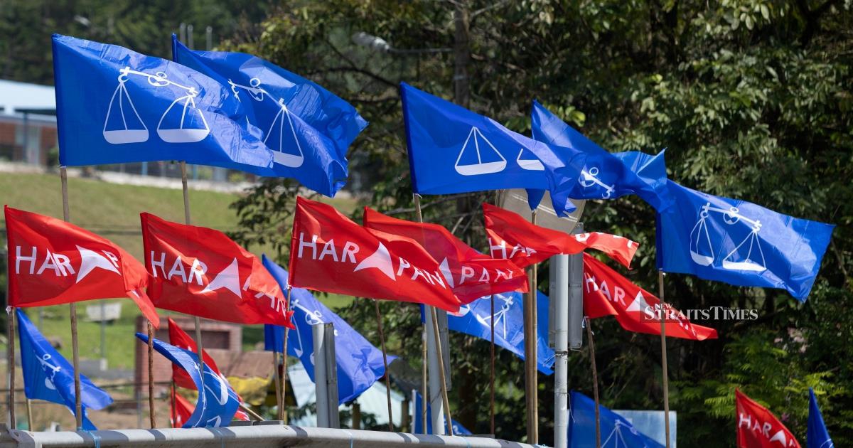 Johor Election Shows BN's Advantage Tempered by Volatile Voter Bloc