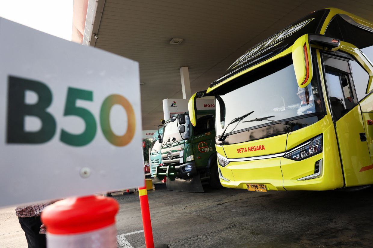 Indonesia Escalates Palm Oil Push with B50 Biodiesel Mandate, Targeting Import Cuts