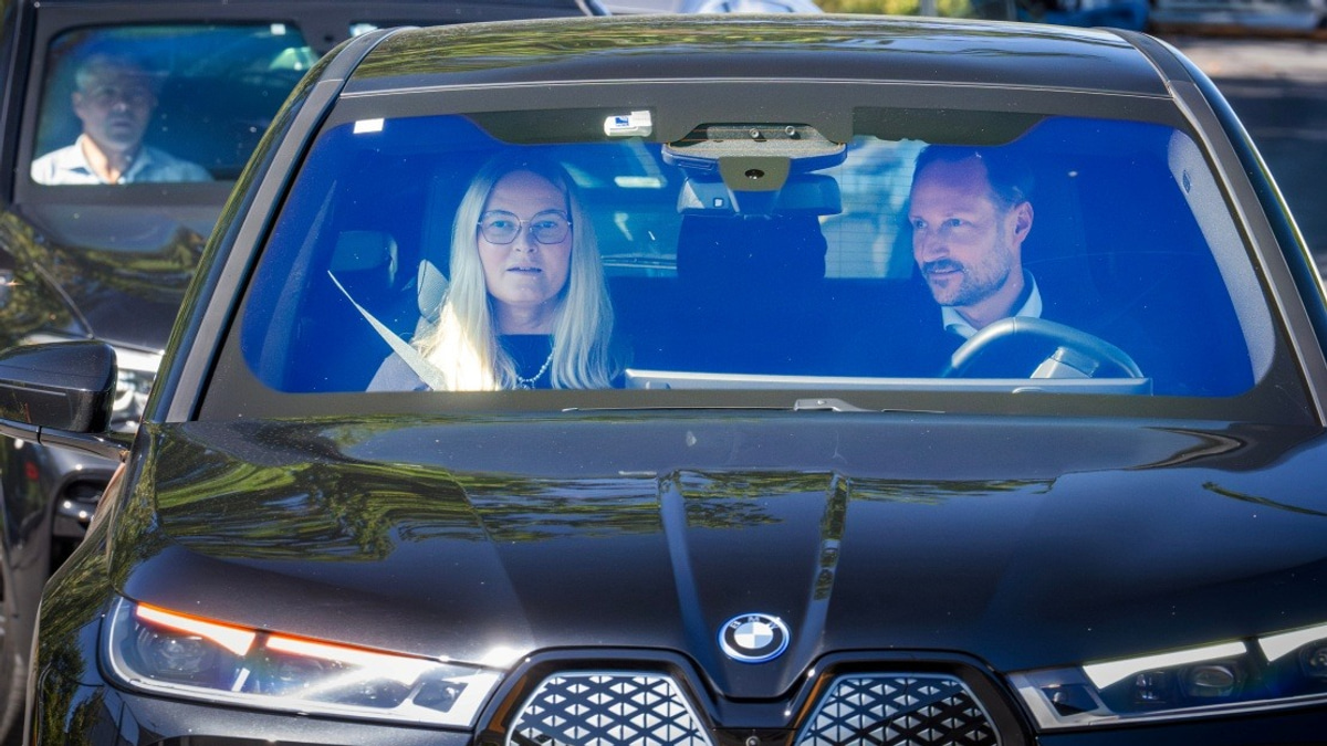 Norwegian King Harald's Health Takes Critical Turn as Palace Issues Grave Warning