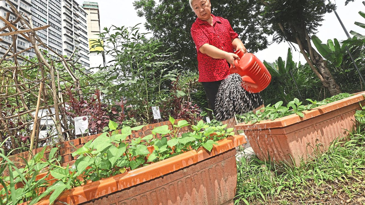 From Wasteland to Wellness: How Kuala Lumpur's First Community Food Forest Is Transforming Senior Living
