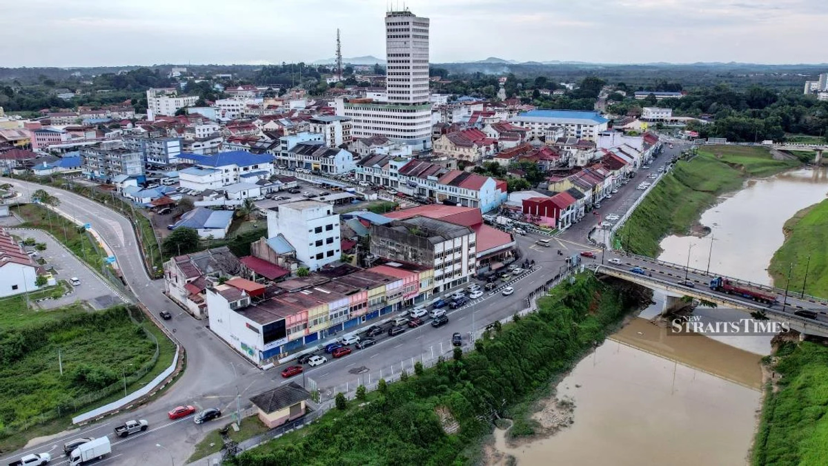 Johor voters urged to guard against digital fraud as fake candidate accounts flood campaign