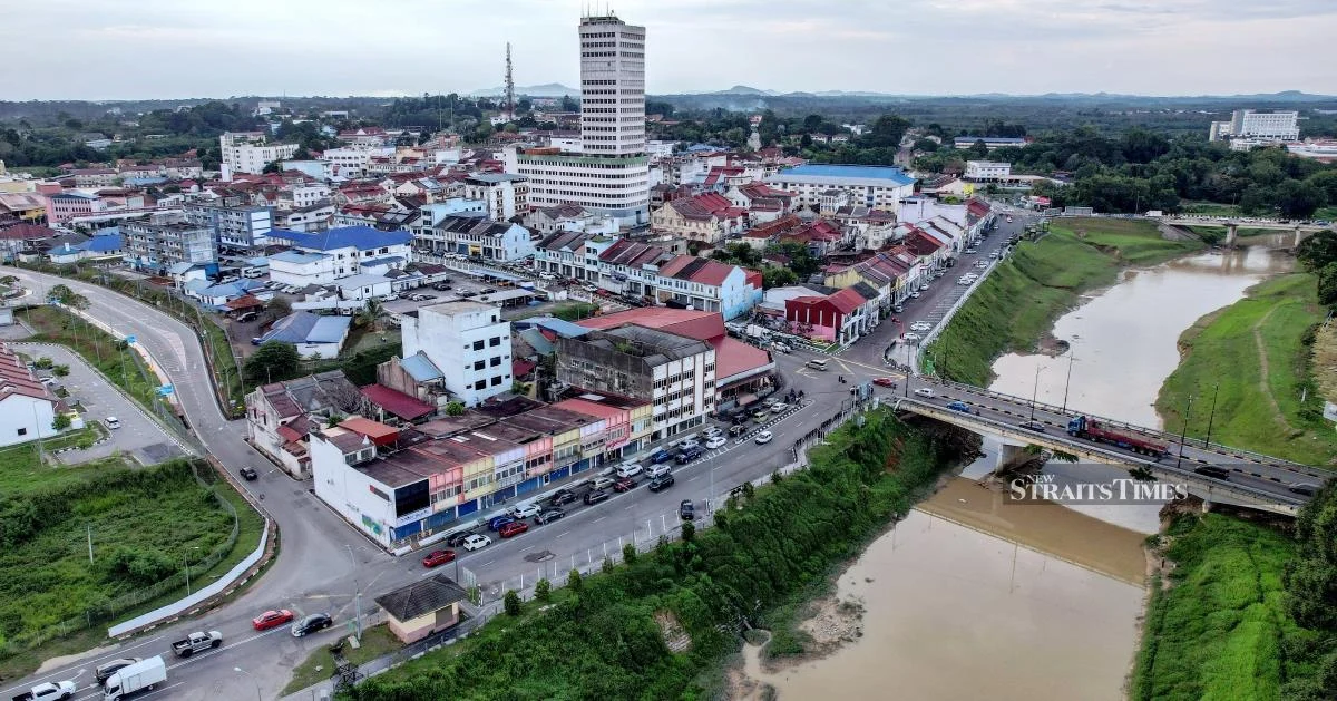 Johor voters urged to guard against digital fraud as fake candidate accounts flood campaign