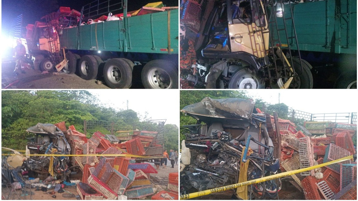 Three Dead in Chicken Lorry Collision on East-West Highway in Tanah Merah