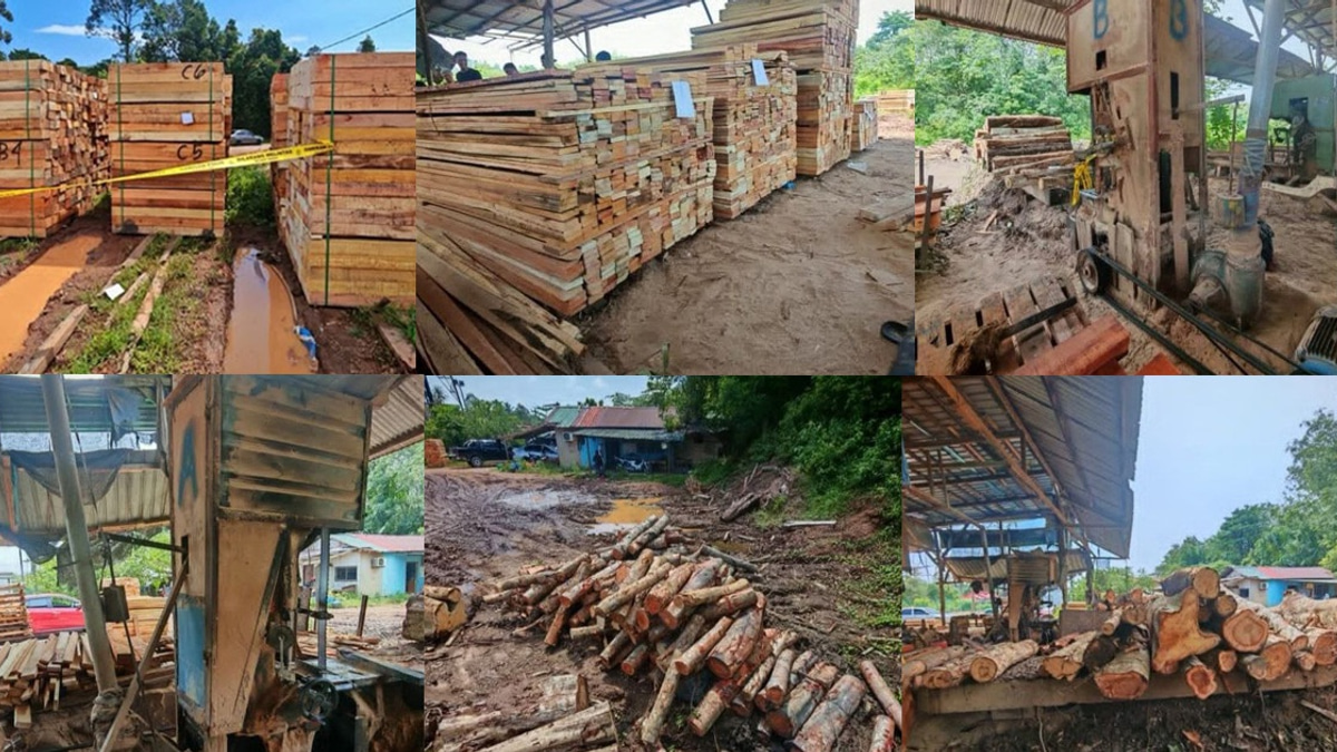 Four arrested in Kelantan sawmill crackdown; timber and machinery worth RM600,000 seized