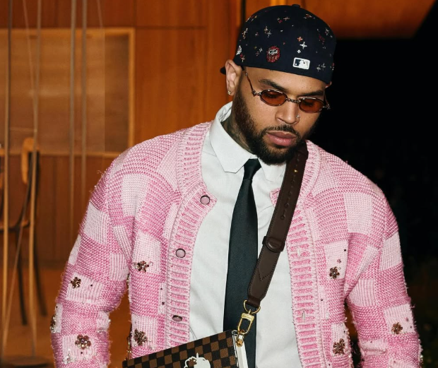 Chris Brown Ordered to Pay RM53mil Over Housekeeper's Dog Attack