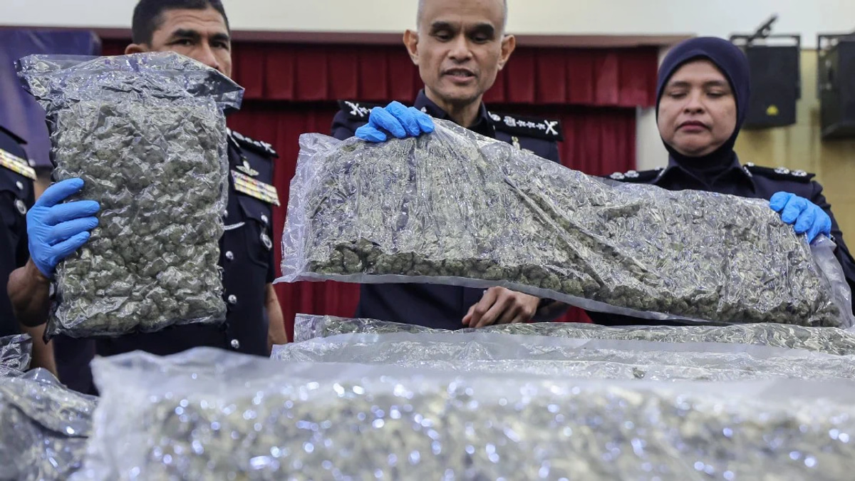 Police Bust Major Cannabis Smuggling Ring at KLIA, Arrest 38 in Year-Long Crackdown